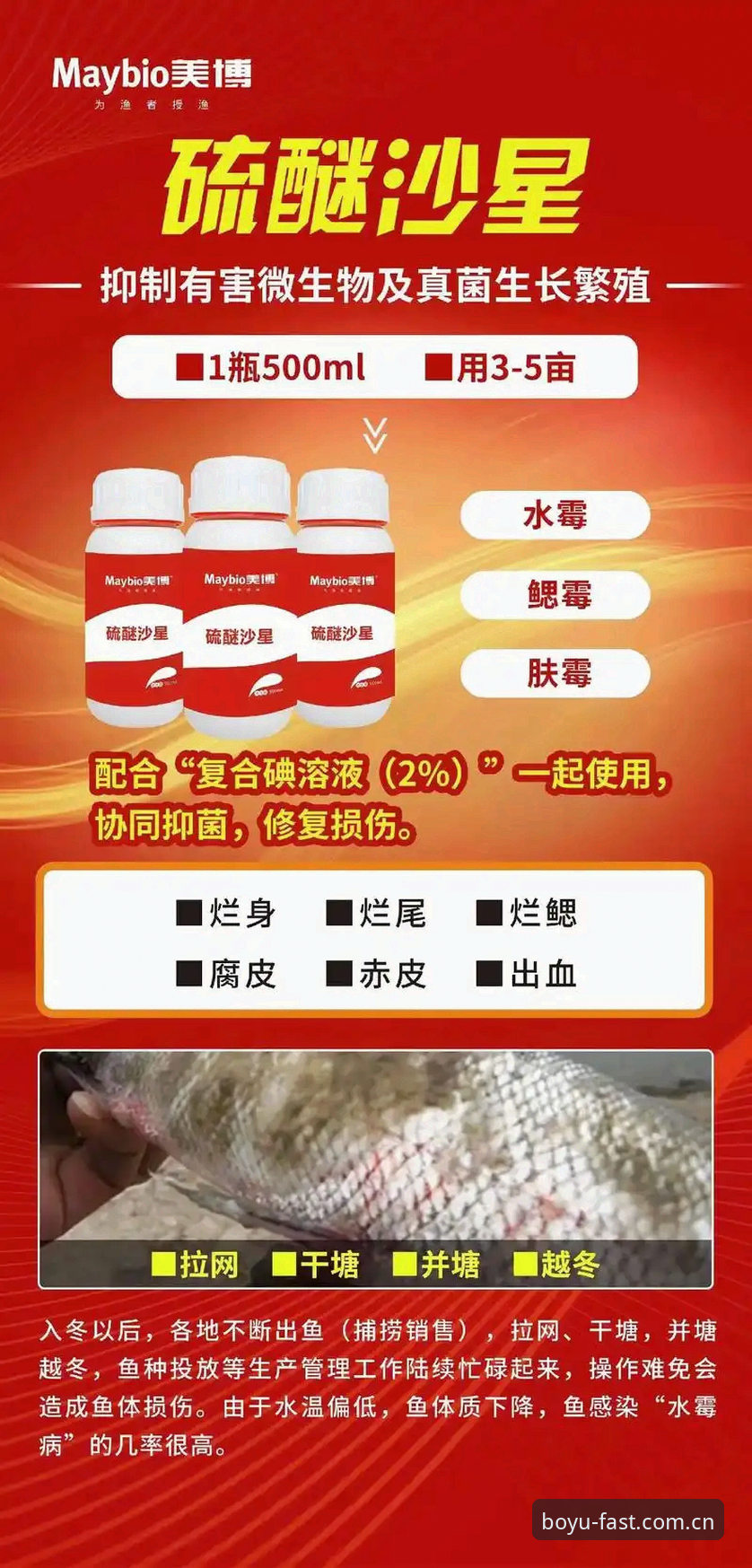 博鱼app数据服务2026最新版本 博鱼体育官网实用指南:数据服务2026最新版高效使用必备知识